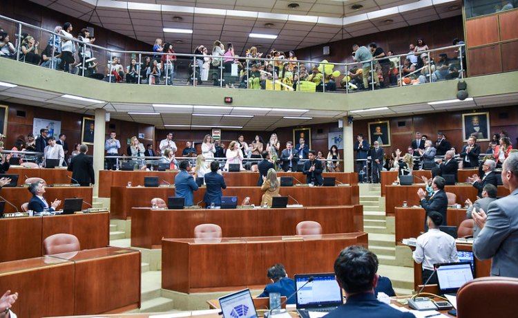 Crearon el Programa de atención integral de la Endometriosis