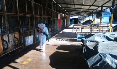 Nuevo cronograma semanal de desinsectación y desratización en la Ciudad