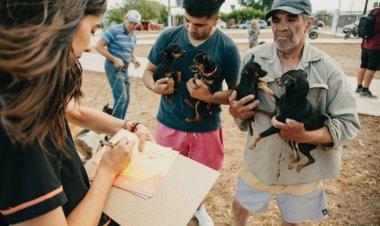Importante operativo de vacunación antirrábica en Albardón