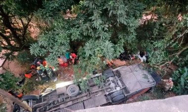 Tragedia en Brasil: al menos 17 muertos al caer un autobús a un precipicio