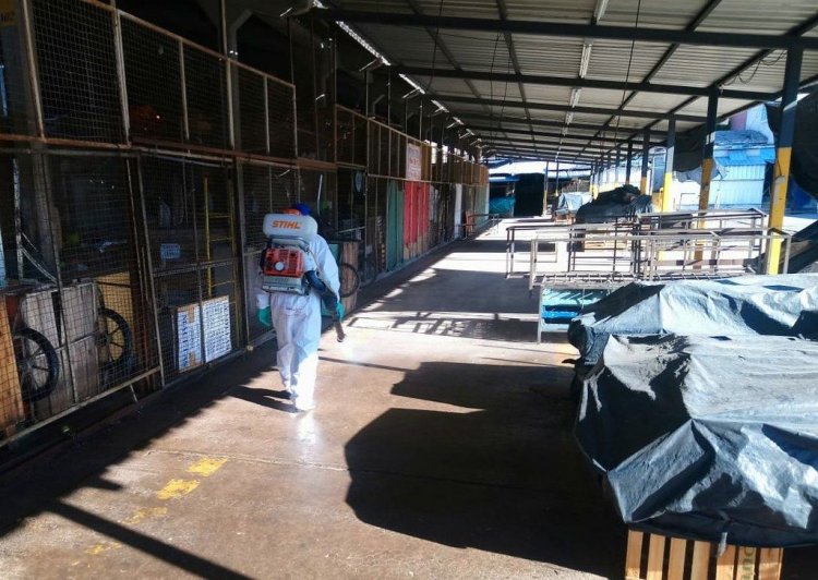 Nuevo cronograma semanal de desinsectación y desratización en la Ciudad