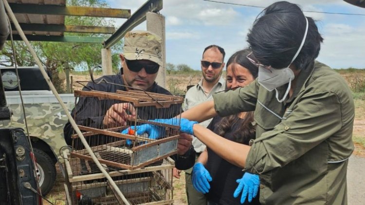 San Juan y San Luis trabajan en conjunto por la conservación de aves autóctonas