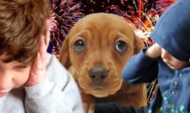 Jáchal recuerda su compromiso con la pirotecnia cero para las fiestas