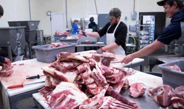 En un año, el consumo de carne cayó 12%