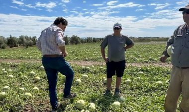 Productores afectados por el granizo deben informar su estado ante el RUPA