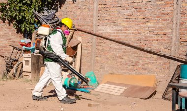 Así será la semana de desratización y desinsectación en la Ciudad