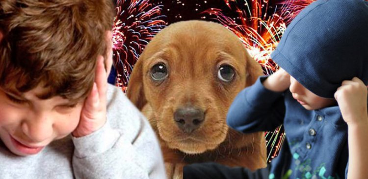 Jáchal recuerda su compromiso con la pirotecnia cero para las fiestas