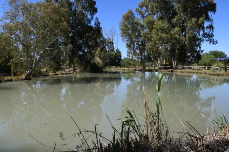 Nuevos horarios para Anchipurac, Parque Presidente Sarmiento y Parque de la Biodiversidad