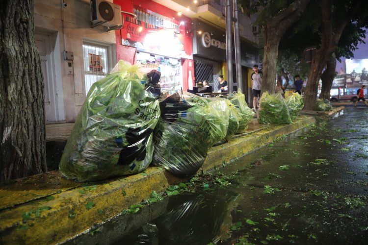 La Ciudad intensifica limpieza y relevamiento tras el granizo
