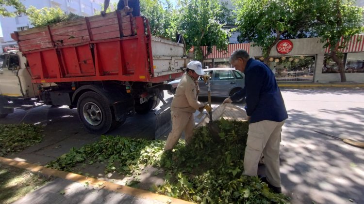 Operativo especial: la Ciudad trabaja intensamente tras la tormenta