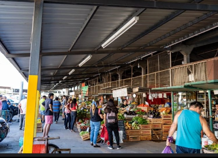 Trabajos de embellecimiento y mejoras en la Feria Municipal