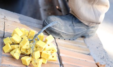 El operativo de desratización y desinsectación llega a más puntos de la Ciudad