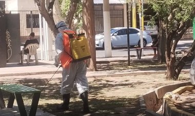Rivadavia redobla esfuerzos contra el dengue