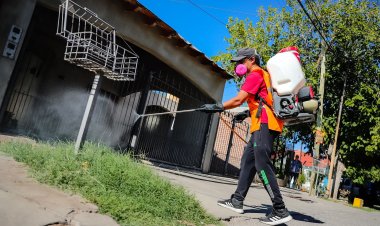 La Ciudad actualiza el cronograma de desratización y desinsectación