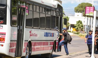 Estas son las líneas de RedTulum que llegan a los diques Ullum, Punta Negra y Río San Juan