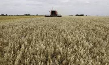 Ya rige la baja de retenciones y el Gobierno aclaró las condiciones