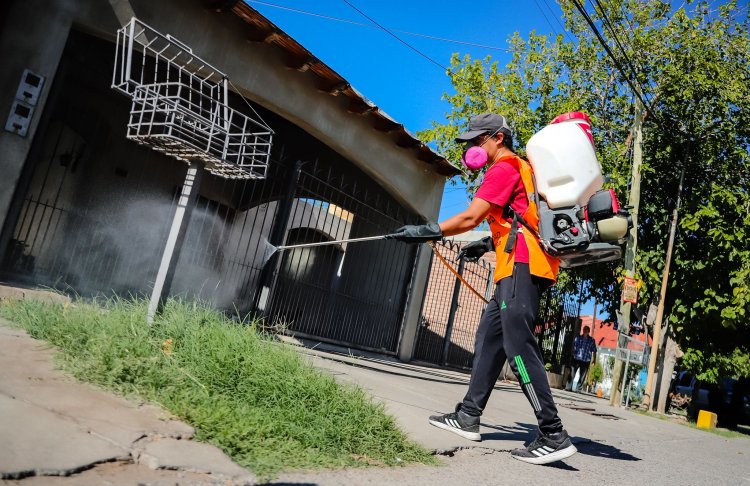 La Ciudad actualiza el cronograma de desratización y desinsectación