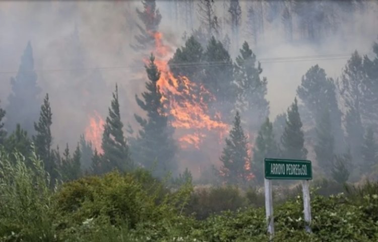 Sigue el incendio forestal en Epuyén y ya se quemaron más de 3 mil hectáreas