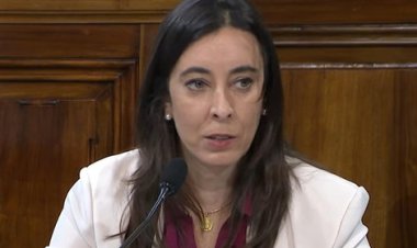 Milei echó a la hija de Cavallo como embajadora en la OEA