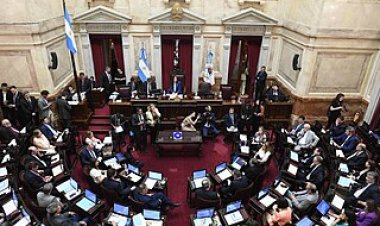 El Senado debate este miércoles la suspensión de las PASO