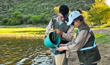Ambiente monitoreó los ecosistemas acuáticos de tres departamentos