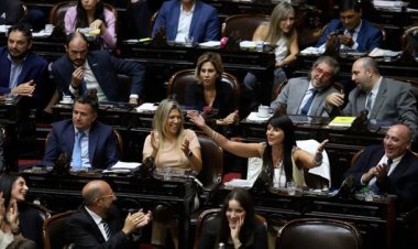 Diputados: aceleran el debate para reducir la edad de imputabilidad