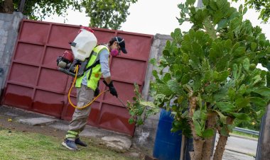 Campaña de desinsectación y desratización en la Ciudad de San Juan