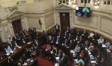 El Senado convirtió en ley la suspensión de las PASO