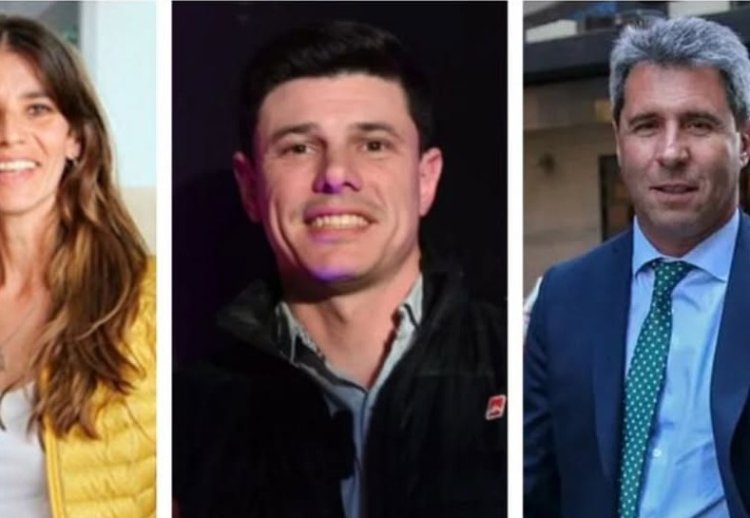 Suspensión de Paso: Cómo votaron los senadores sanjuaninos