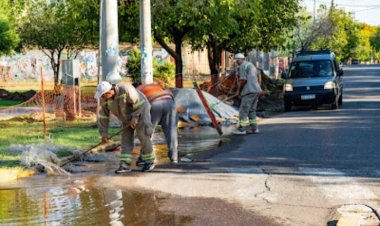 Capital recuperó la normalidad tras el temporal gracias a operativos municipales