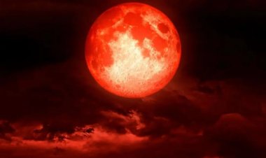 Eclipse total de Luna: cuándo verlo y a qué hora este 14 de marzo