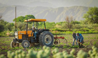 San Juan asiste al sector agrícola con más de 12.400 millones de pesos