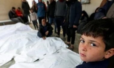 Israel ya mató a más de 50.000 palestinos en Gaza