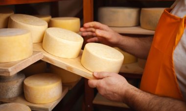 Día del Queso: crecimiento en la producción local y diversificación de su oferta