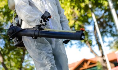 La Ciudad refuerza el operativo de desinsectación y desratización