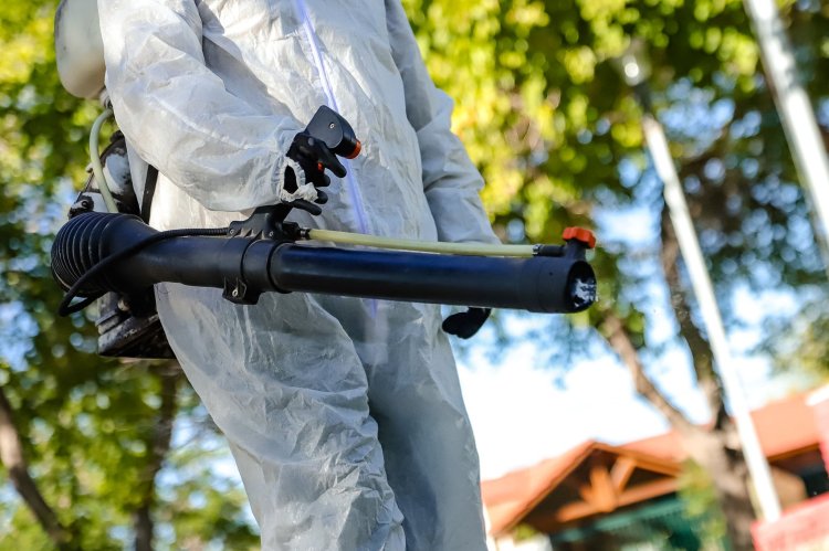 La Ciudad refuerza la campaña de desinsectación y desratización en barrios clave