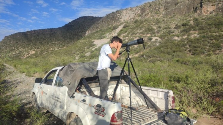 Ambiente monitorea el Águila Coronada con innovadora tecnología