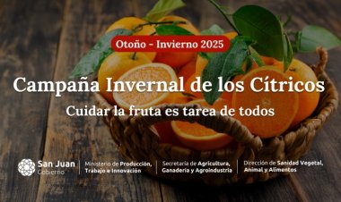 Intesifican la campaña para el control de plaga de la mosca de los frutos