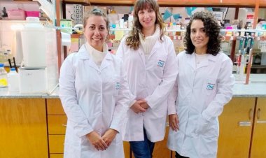 Científicas argentinas crearon un vendaje inteligente que acelera la cicatrización