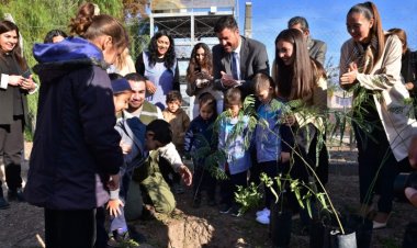 Alumnos del ENI 41 de Caucete plantaron árboles para generar conciencia