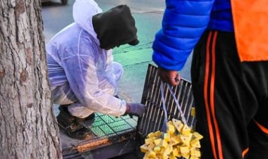 Conocé el cronograma de desratización y desinsectación en la Ciudad