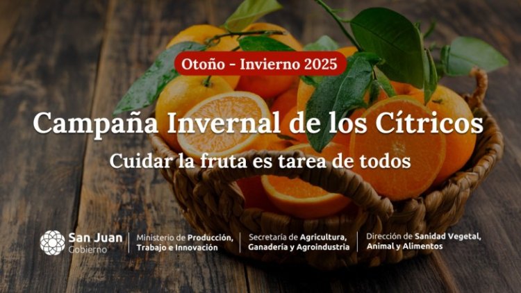 Intesifican la campaña para el control de plaga de la mosca de los frutos