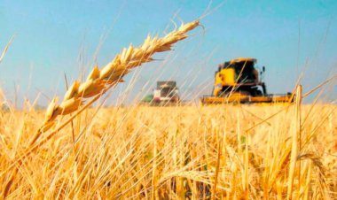 El Gobierno extiende la baja de retenciones para el trigo y la cebada pero deja afuera a la soja