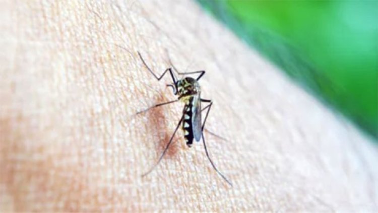 Alerta en Santa Fe por un fuerte aumento de casos de dengue