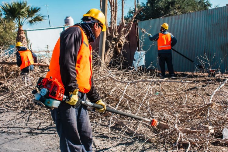 Rawson capacita en poda y manejo seguro de máquinas