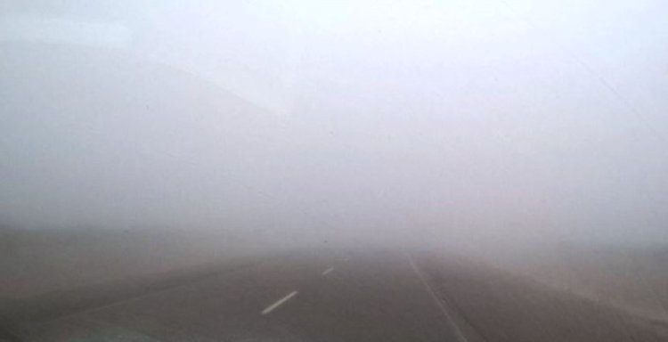 La niebla complicó el tránsito en rutas de San Juan