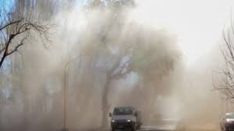 Alerta amarillo por llegada de viento Zonda