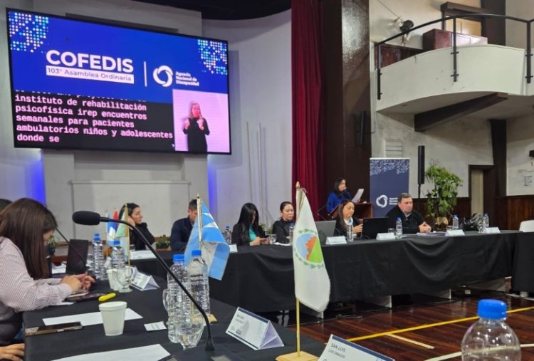 San Juan será sede del próximo Consejo Federal de Discapacidad