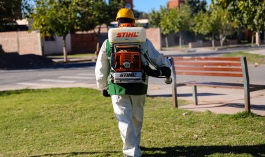 Nuevos puntos de desratización y desinsectación en la Ciudad