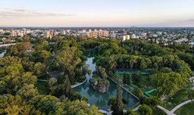 Ambiente abre la convocatoria 2025 del Programa de Forestación Provincial